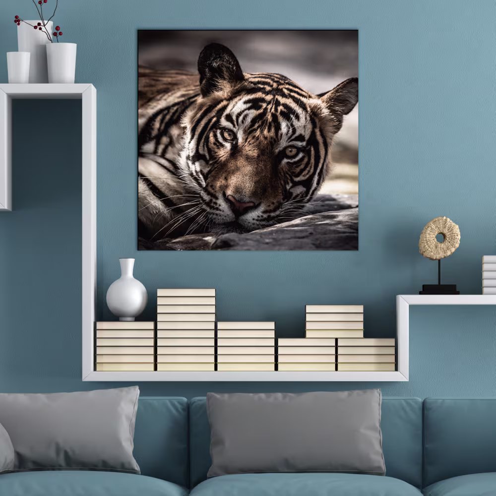 aluminium photo print of a tiger hanging on the wall - agfaphoto print