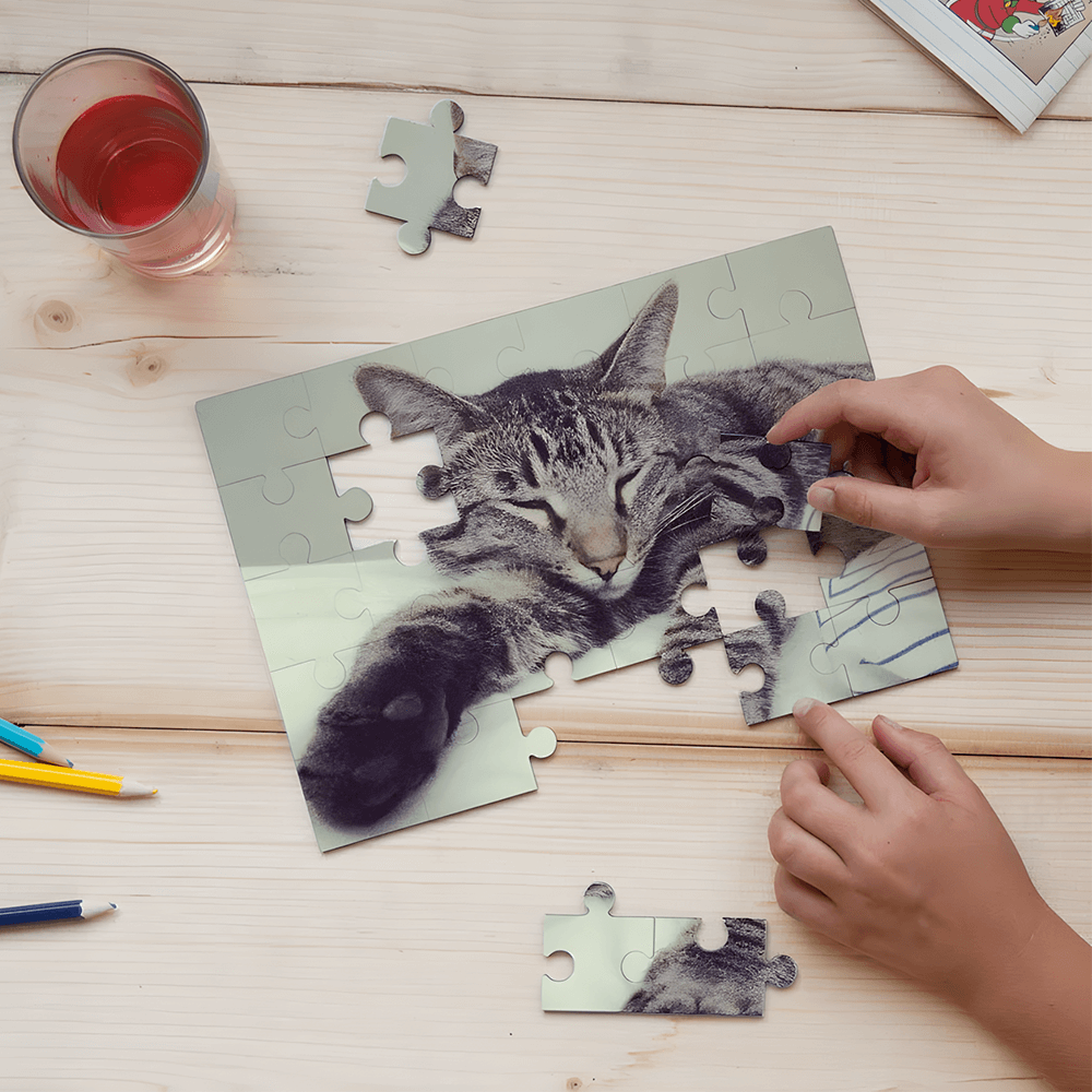 Standard jigsaw puzzle