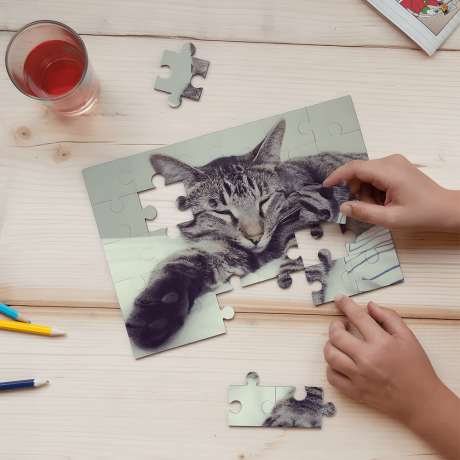 Standard jigsaw puzzle